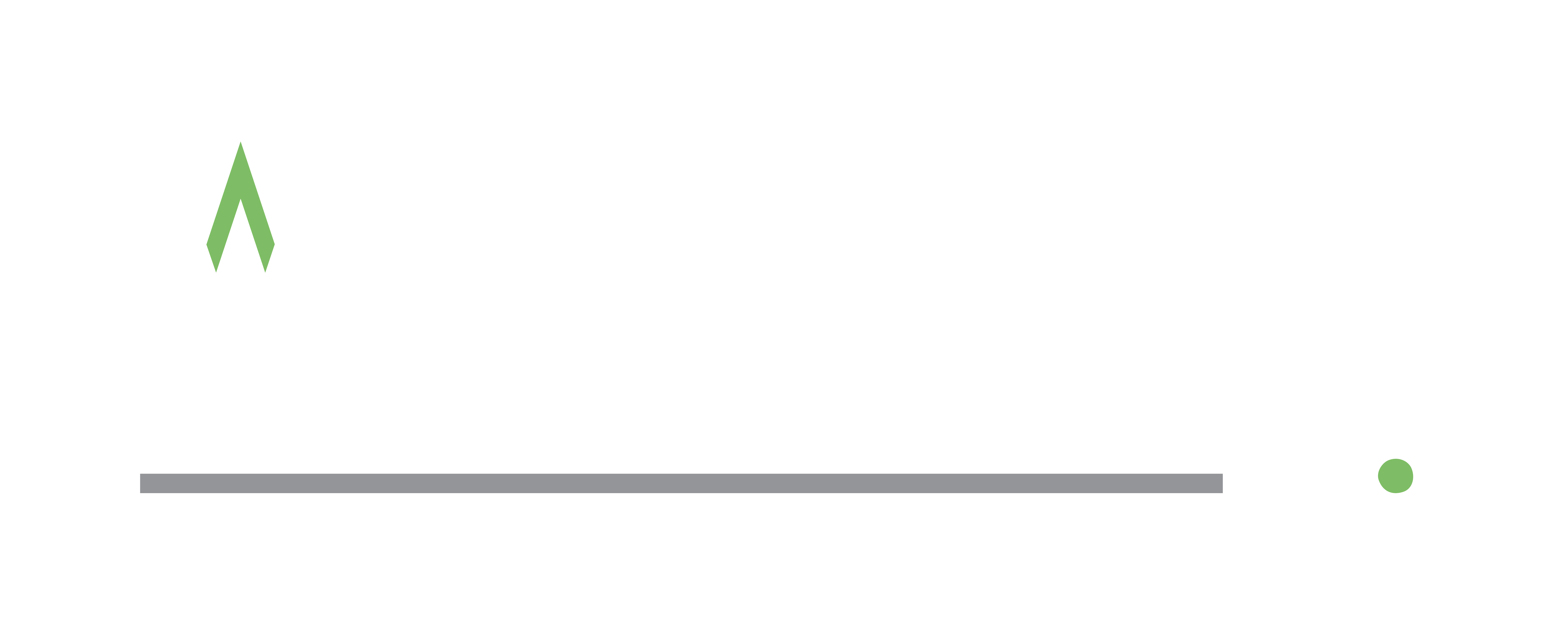 VertiFly